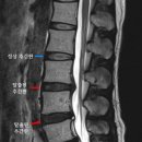 서울베스트정형외과의원 이미지