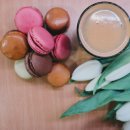 삼영메디칼 이미지