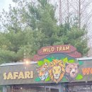 백호카랜드 이미지