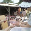 평강공주 이미지