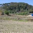 대운산리 이미지