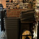 부산 서면 고양이가 있는 술집, 내돈내산 &#39;희자도금&#39; 솔직 후기