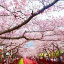 로망스안경 이미지