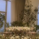 다르미앙 | 송도 다르미앙 달루엣 아이폰스냅 본식 촬영 후기::다르미앙 예신 촬영!