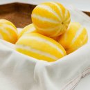 볏짚농장 | 수양대군 볏짚배양토 토댁 성주꿀참외 고르는방법 팁