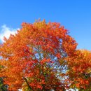 남산부페 이미지