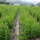 요제농장 이미지