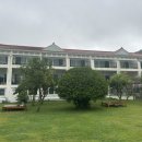 글램독통영 | 통영 애견동반 여행 숙소 글램독 통영점 솔직후기