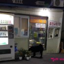 그린셀프세차장 이미지