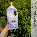 프레시딜라이트 이미지