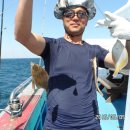 참가자미 이미지