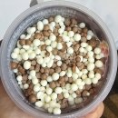 한옥마을주유소 | 내돈내산 전북 전주 완산구 서노송동 전주한옥마을 근처 호텔 후기 [베스트웨스턴플러스 전주호텔]
