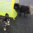 개린이세상 이미지