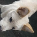 안집농장 이미지