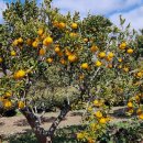 너럭바위 민박 이미지