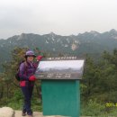 독바위로 이미지