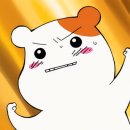 와이비