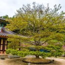 함평 보광사범종 이미지