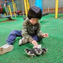 (주)김승일아동발달센터 이미지