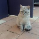 파리바게뜨 운천점 이미지