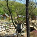 용인자연휴양림 숲속체험관 이미지