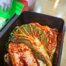 삼성2-126 | 오쿠 3세대 4L 음식물처리기, 삼성 소형 김치냉장고126L (RP13) 내돈내산 후기