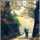 아침을 여는 풍경 이미지