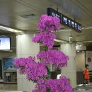 고기로R 이미지