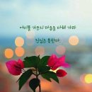우리가 이미지