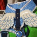 온양동물병원 이미지