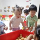 별나라어린이집 - 당진시 | 진짜 만족도를 원한다면? 파주영아중심 별나라어린이집이 긴 시간 쌓은 신뢰와 이유 있는 선택
