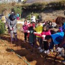 순천 나무숲 이미지