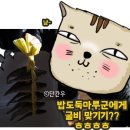 조아굴비