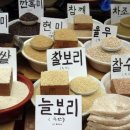 섹시한떡볶이 이미지