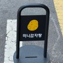 조은감자탕 | [당산 점심추천] 미니감자탕 내돈내산 솔직후기