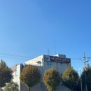 시내도로 | 서울자동차운전전문학원 도로주행 시내연수 10시간 내돈내산 후기