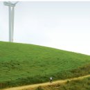 대관령목장 이미지