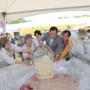 의장농산 | [뉴스경북=성주군] 2015 성주생명문화축제 ... 2일차, 5월의 싱그러움을 담은 참외의 날
