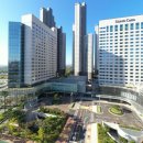 소노캄 고양 이미지