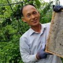 금주농장 이미지