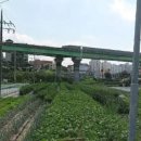 광혜원면행정복지센터 이미지