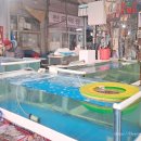 동부회수산시장 이미지