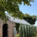 신두리5초 이미지