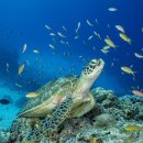 대구신세계 문화홀 이미지