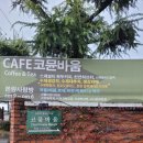 코뮨바움 네이버블로그