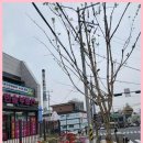 한솔부동산중개사무소 이미지