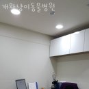 개와냥이동물병원 네이버블로그