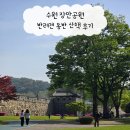 산책 | 수원 장안공원 반려견 동반 산책 후기