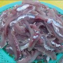 마시모 이미지