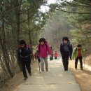 양평2동-12 이미지